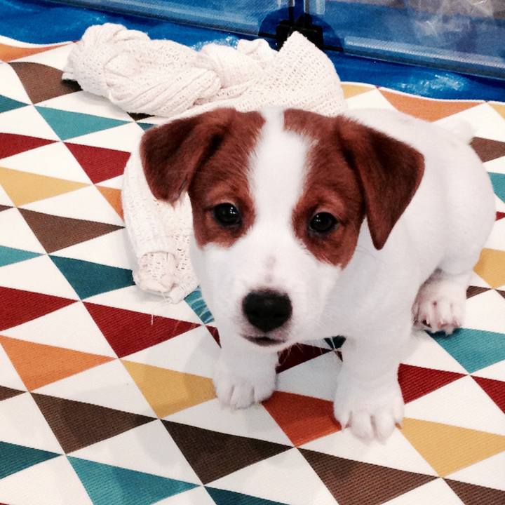 242383bc 2211 48e9 a702 6297b1ce53ea