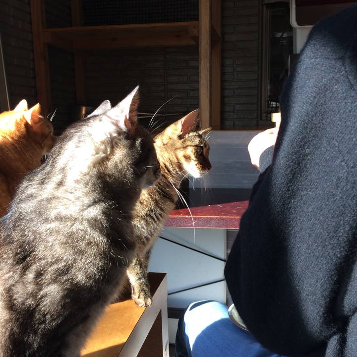 2423cc8e 9e78 40bc 9b80 d7b7d3b0835c