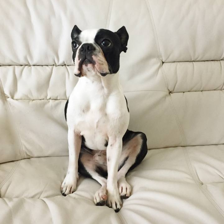 242454a2 568b 479c 8c53 0780a83b0e8a