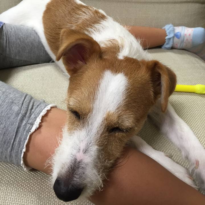 2424806f cbc0 425f a2ea 584290af5636