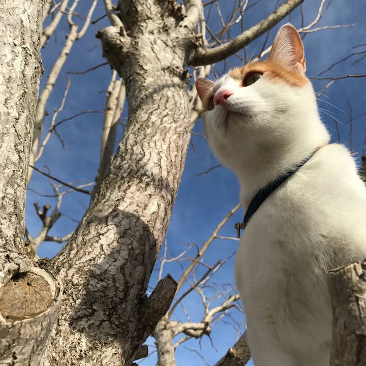 24252f4d f6b2 43c1 97b4 e45634ec07e2