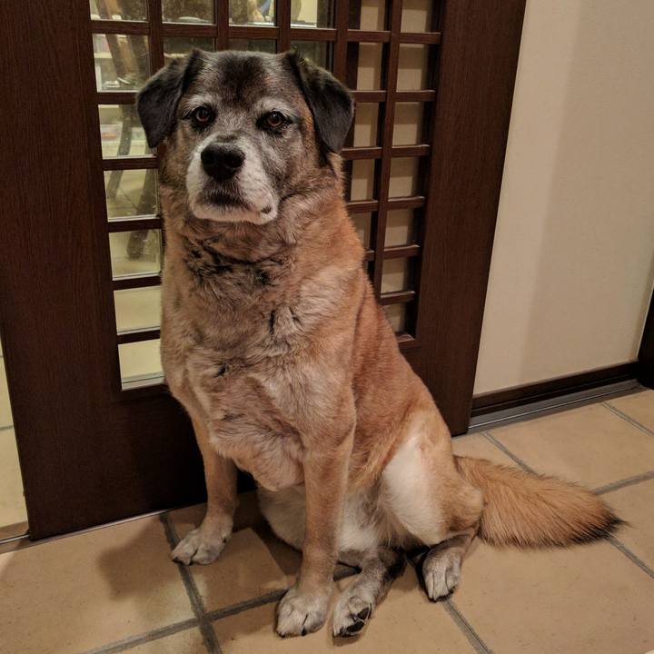 2425e564 d3e2 4501 a170 754ac17541f2