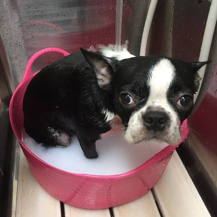 24263b39 d5fd 43d1 a6c8 abceedb2b881