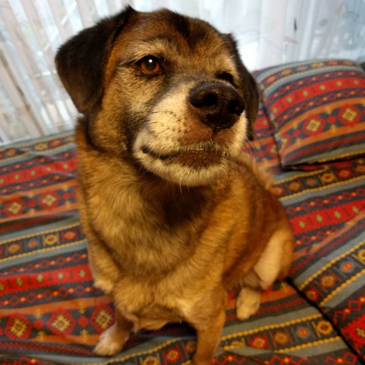 24267ce6 c306 4a32 b821 a99bfe0b130d