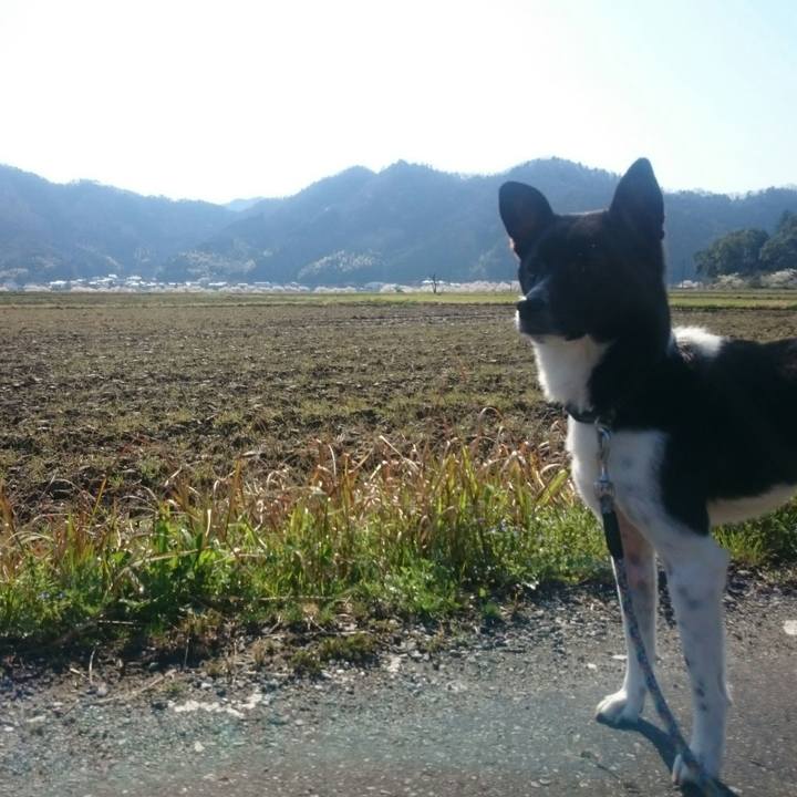 24272fde 0ed8 473d 964f 952f73c31b85