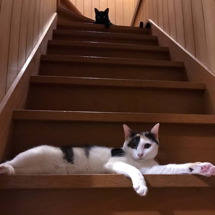 24273e08 9027 4ce7 9b59 878775b8e3a9