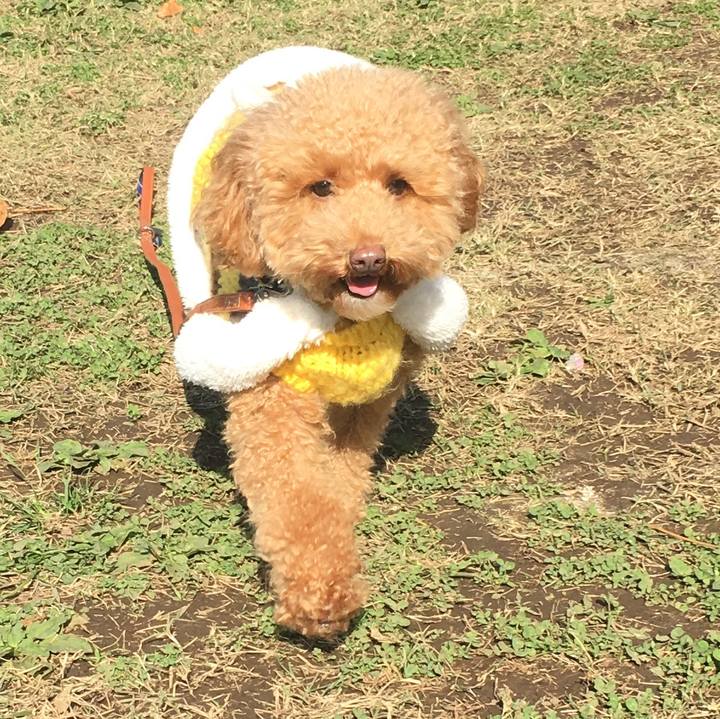 242765e7 6a72 48d4 af04 2d2121b03d09