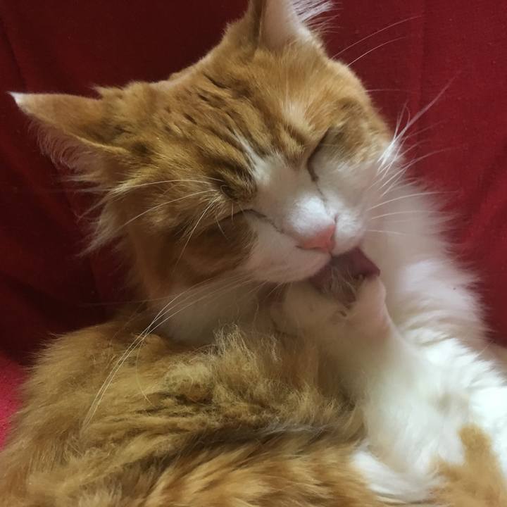 2427d55e 98ae 4844 973f 86d4b1c09dcb