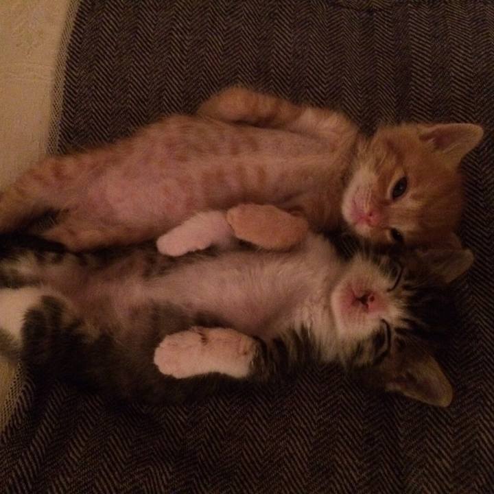 2427f92d 0b27 438f 845a 554f1fcf326c