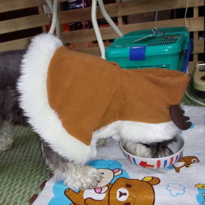 24281b8b b18f 4a21 8dcf a1cf80200182