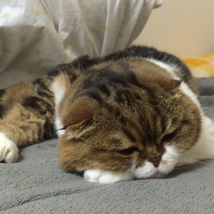 24285602 776d 4576 9a96 c72424f60bc9