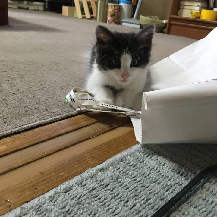 24286ad9 8432 43eb 8f4a 16b59e4b6d4e