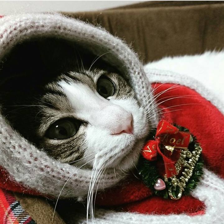 2428a1c1 5724 491b 8120 7901a5d6585a