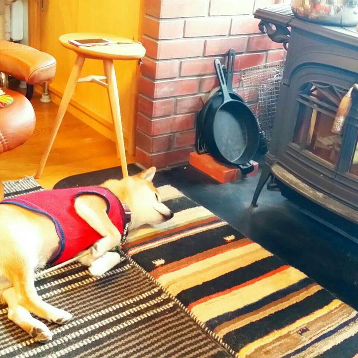 24294f58 6255 43ef 8a4b ab88d8428e19