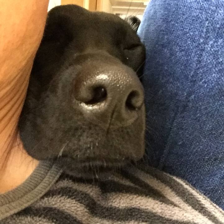 2429aecc 49ac 48eb adc3 8a5d4c2f03d8