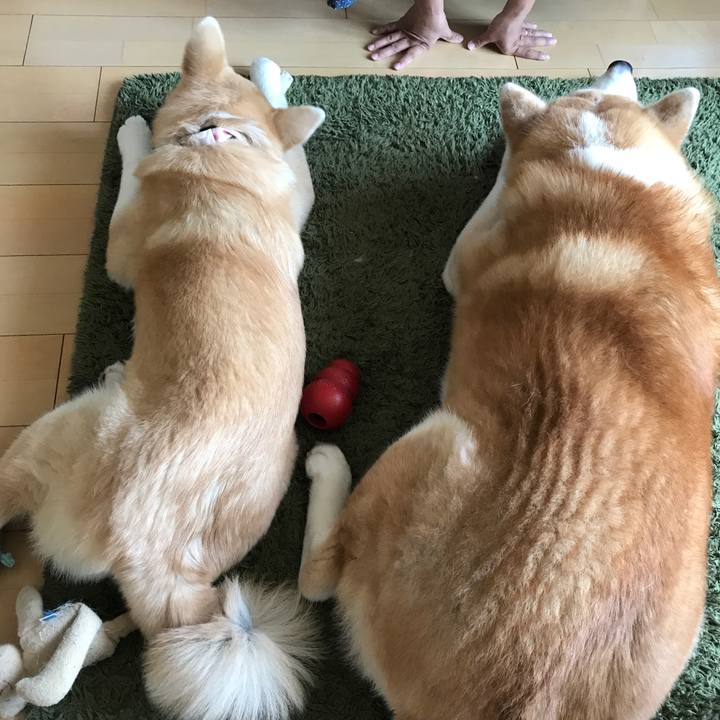 242a10fe dc3c 4e3e 9b40 89cd3bf55a79