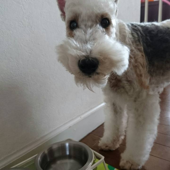 242a1ced 6f9c 4049 90e4 b0bbaa013da5