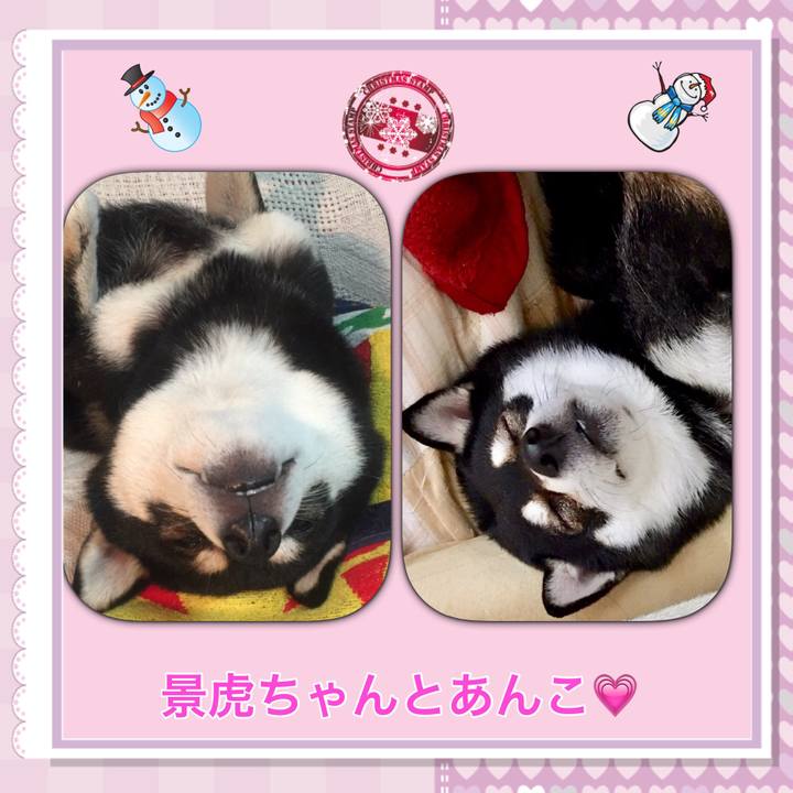 242a4310 ecaf 4e2a a0f9 2350c108e46d