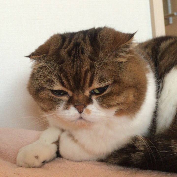 242a4e0b 00aa 41f1 a171 99f7945b29bf