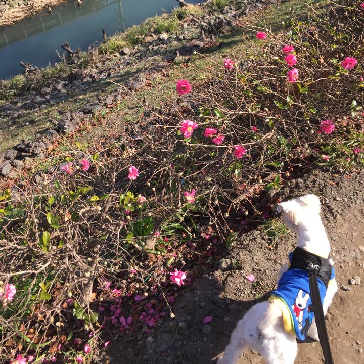 242b2a61 1557 41d6 88f3 bb4abc63a3c3