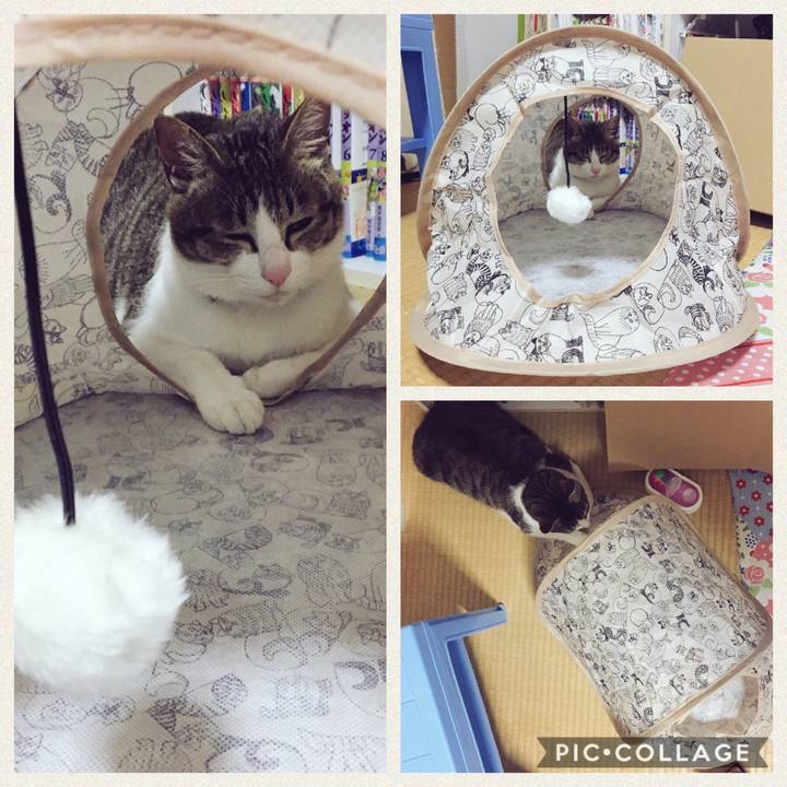 242b3ac5 a01f 471c b8ae 2cd409aa2f4d