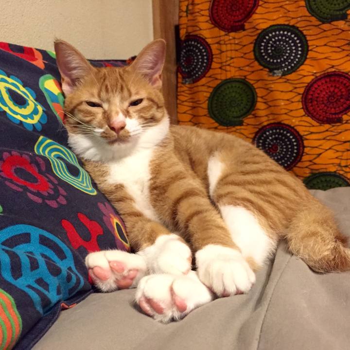 242b3d35 9983 4827 b04c f3daed7a654b