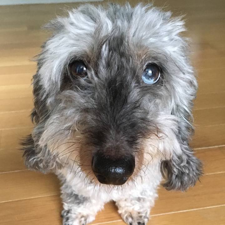 242b59dd c026 498e a675 f0e8b56b745f