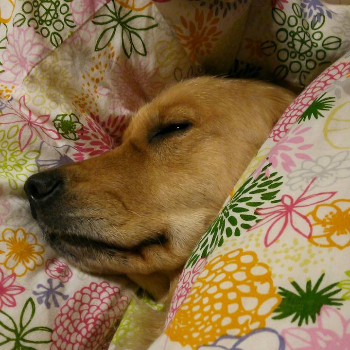 242b9512 1b2c 4572 8dc5 46e3ca900be8