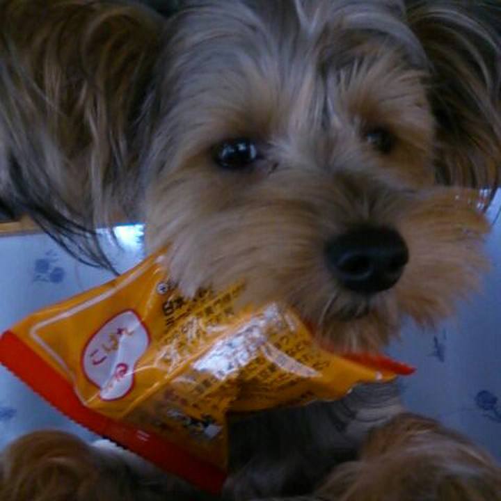 242c9929 27e7 44cf b3e6 e3ac9259ce88