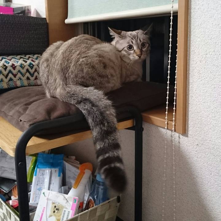 242ccf24 00c7 48fa aab2 e45f9afa2f60