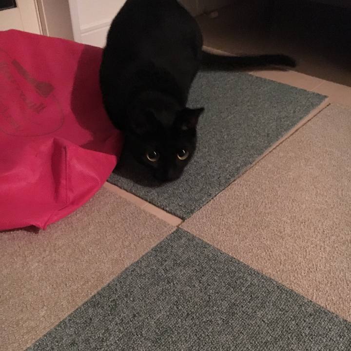 242d7d04 1ad1 4ba6 9499 da39335fdc50