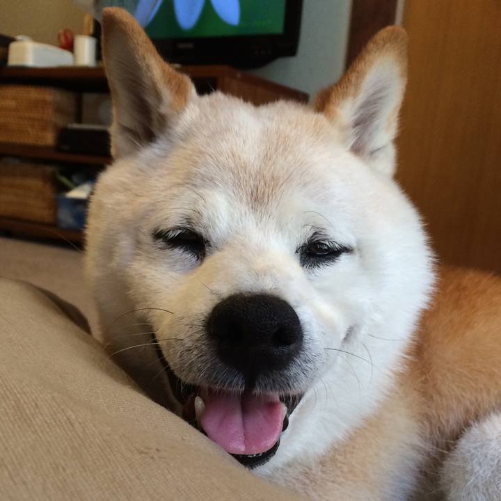 242d889a fb40 4a9f a95a 0486f108a016