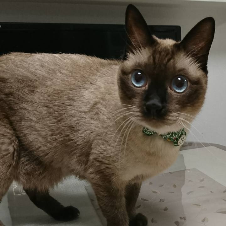 242df443 f8e1 494f 8dcd e6f6f191f9cb