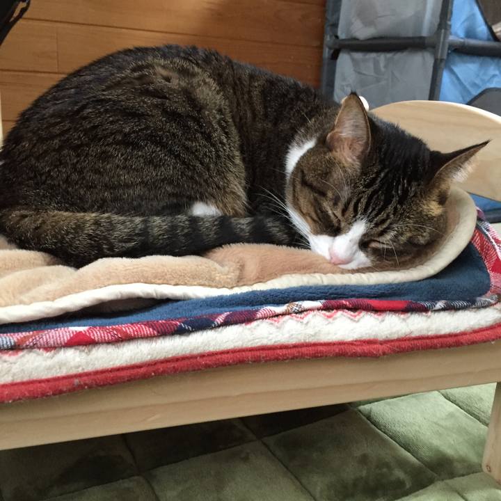 242e16de a93d 4a99 934f 499fdb037e2e