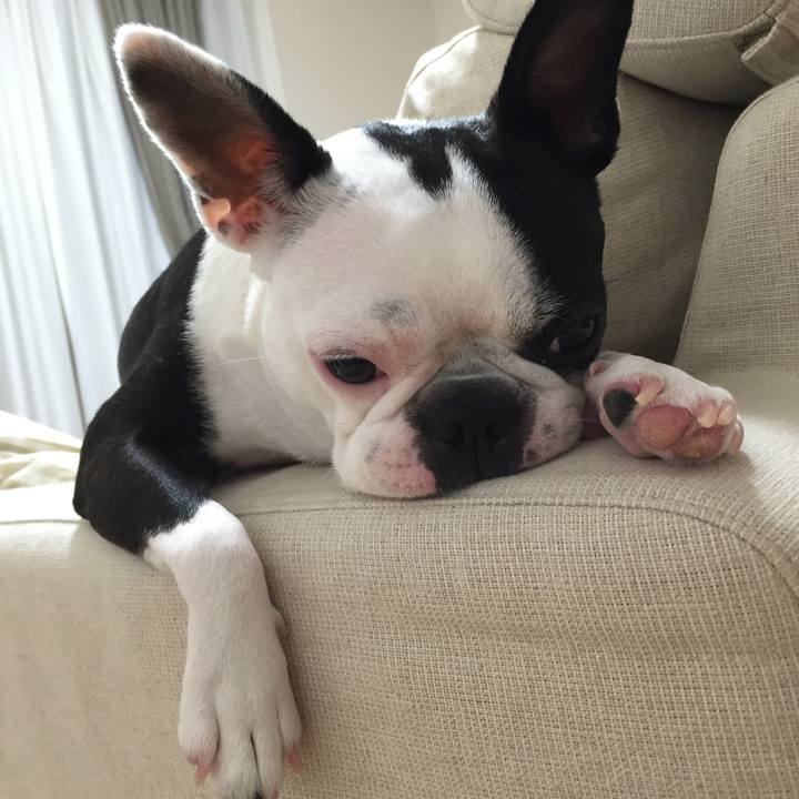 242f8b30 4ff2 4b05 8000 183cf41b92e9