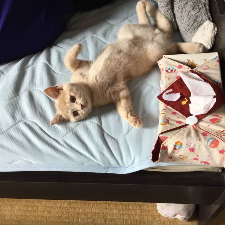 242f9b33 8a8a 418f bc05 314aa339ab68