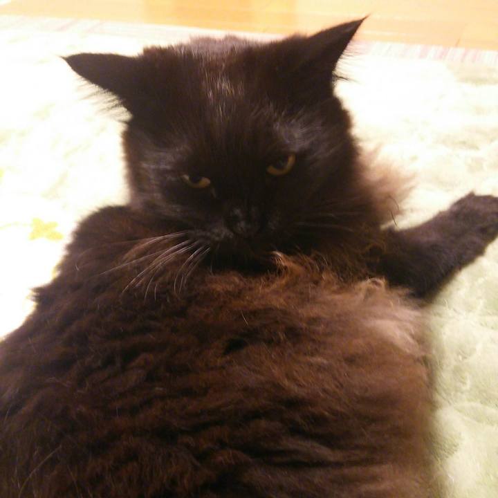 24300888 81ea 4f6b ba8c 4edee0694b3d