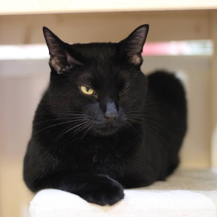 24305cf8 48b9 443d 8e64 e5735e93c78f