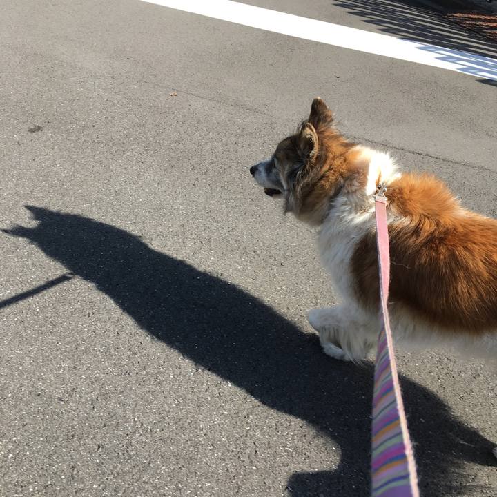 2430b6a1 c816 4c64 bdac 7388d035f71a