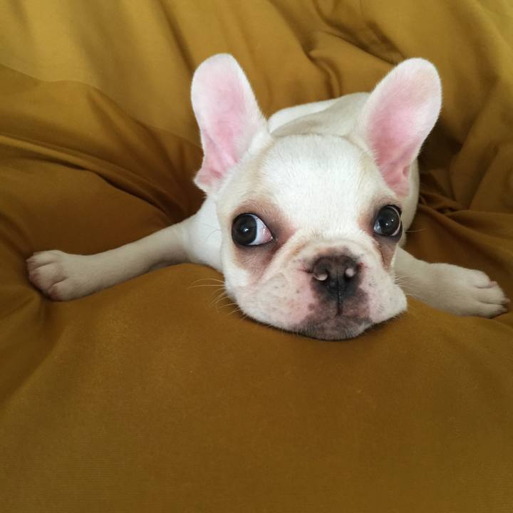 2430f3f8 b3b2 4508 a307 d9fe609ed88c