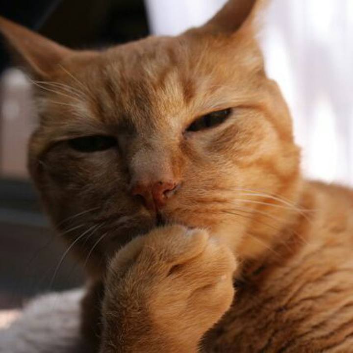 243130a2 2bab 4bd1 98c6 9b9fb97b4b86