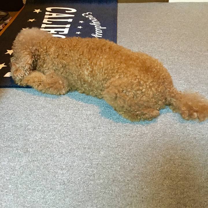 24317b07 d5b3 42cc 8ace fc6382d8c22f