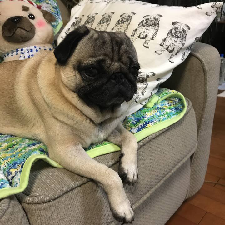 24319a54 80c5 49d2 9a61 84ca307b244c