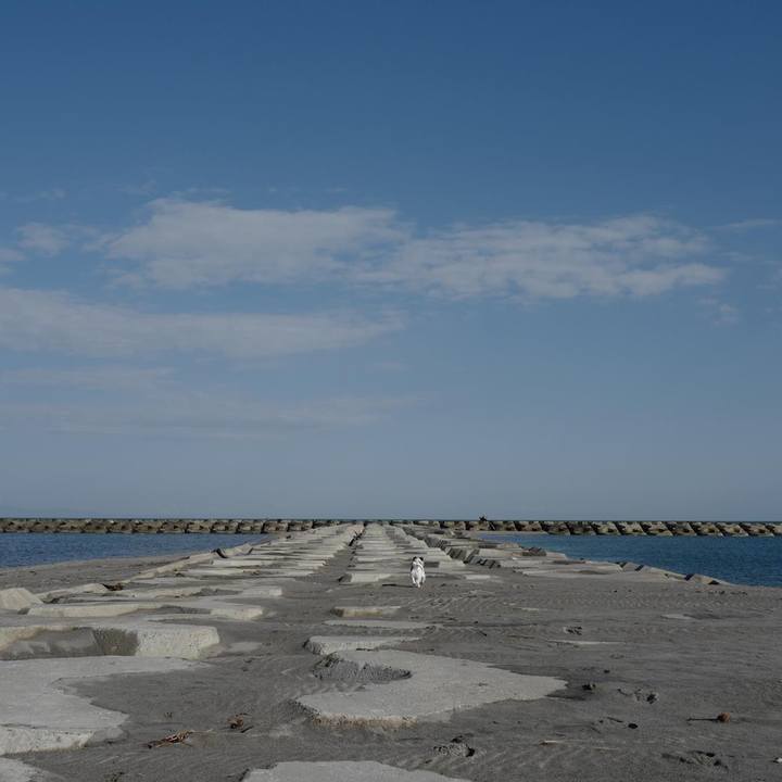 2431a90e 1edd 4b80 8cf5 bc60ec34937c