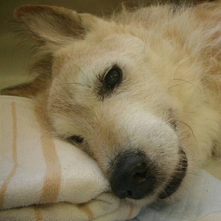 24320583 7a6d 407e a2b6 3a6417b9840f