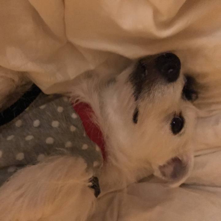 24321316 ab75 4c46 8e86 58c0f620fbf5