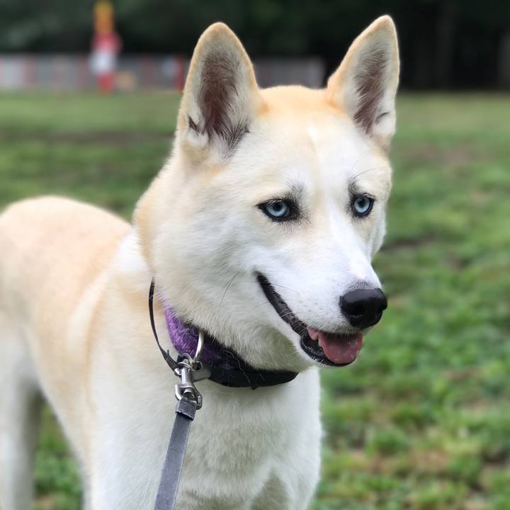 243239b9 34df 4310 aee2 db723e9de703