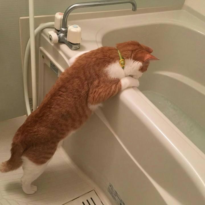 24324cc7 3d57 4e48 8a4d aafd97baa5c4