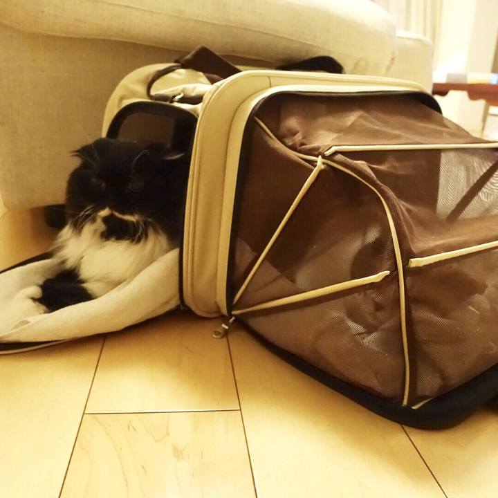 24328b31 cad3 43c4 8bde 29042730f630