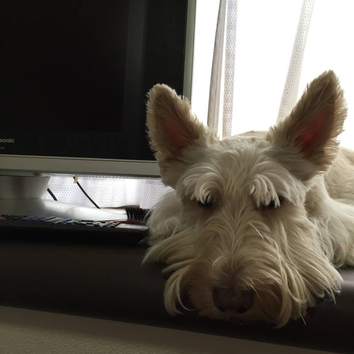 24328b36 54fb 4627 9ff3 dc77be3b6a12